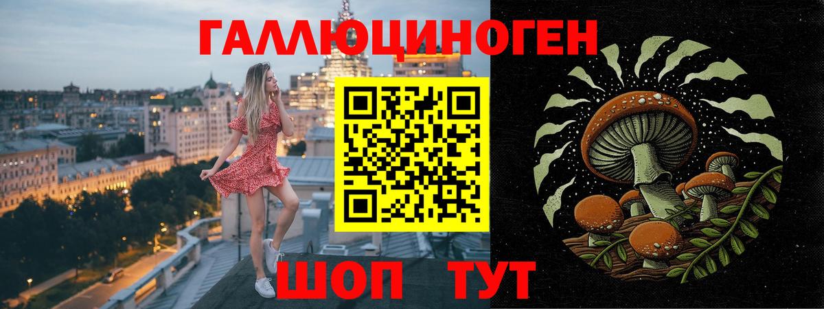 Псилоцибиновые грибы Psilocybine cubensis  Вход с VPN  Севастополь  Галлюциногенные грибы прущие грибы 